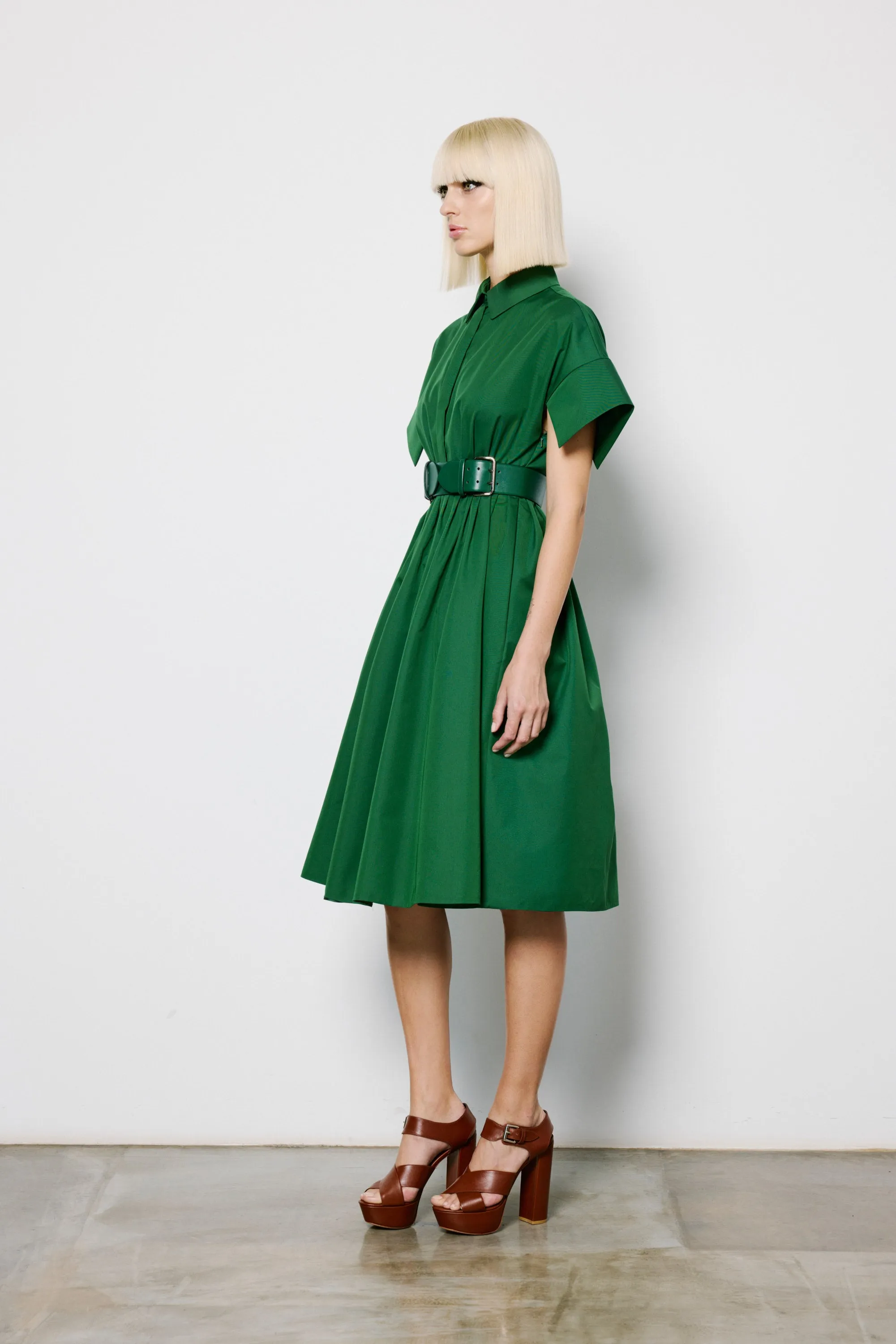 Petal Sleeve Dress